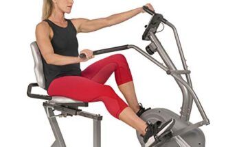 Best Recumbent Bike With Arm Exerciser