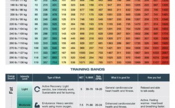 How Many Calories Burned by Rowing Machine
