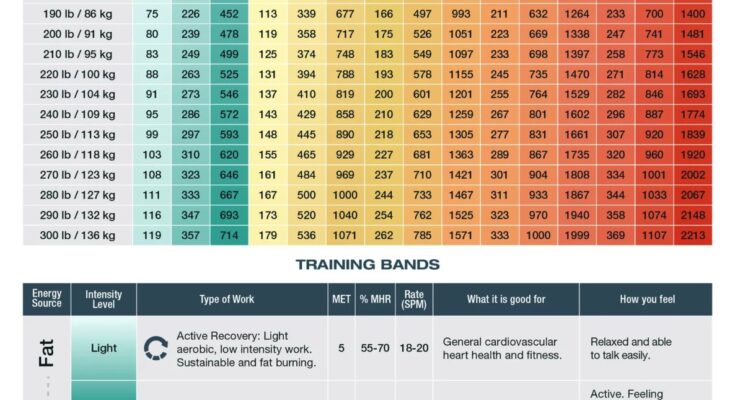 How Many Calories Burned by Rowing Machine