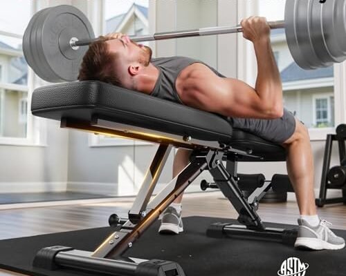 Best Premium Adjustable Weight Bench