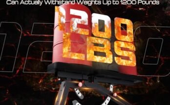 Best Workout Bench With Leg Extension