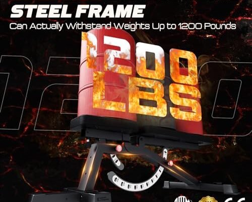 Best Workout Bench With Leg Extension