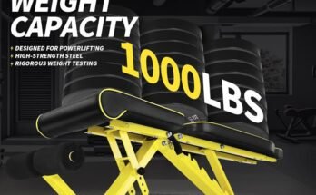 Best Weight Bench For Home Gym