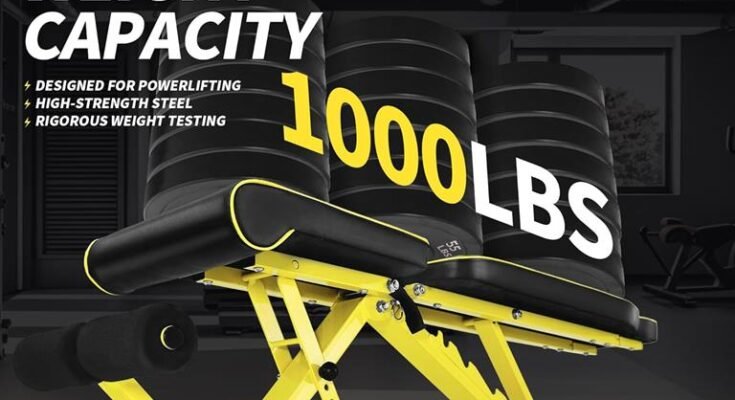 Best Weight Bench For Home Gym