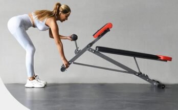 Best Workout Bench