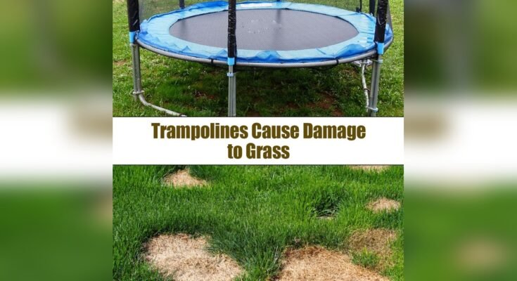 Do Trampolines Damage Grass Or Lawn